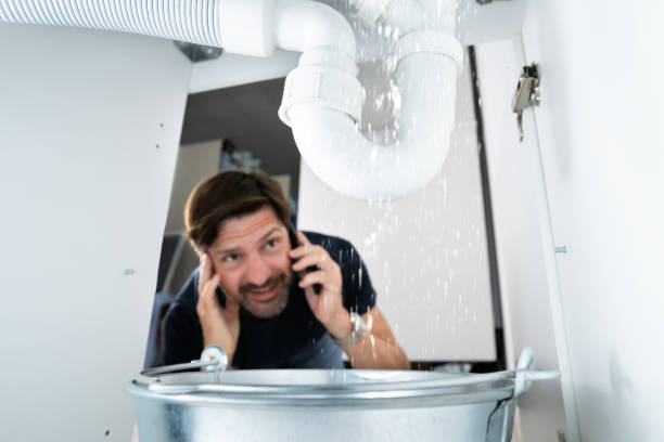 Best Leak Detection Services  in Farngton Hills, MI