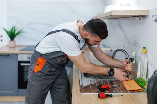 Best Affordable Plumbing Services  in Farngton Hills, MI